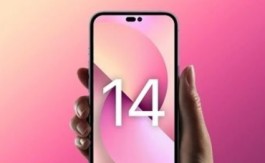 苹果14连不上wifi怎么办（苹果14连不上wifi解决办法）