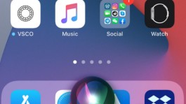 苹果哪些机型不建议升级iOS 16.7.9？