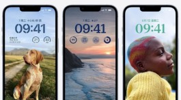美版iphone 14系列支不支持国内运营商？
