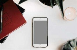 2025适合学生赚钱的软件有那些？推荐两款学生挣钱最快的软件