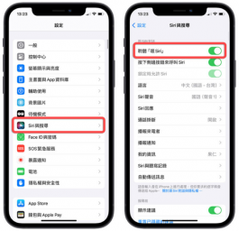 呼叫嘿Siri没反应怎么办？分享12种有效解决Siri不理你的方法