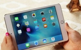 2024年ipad赚钱软件排行榜上有哪些APP？
