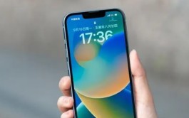 iPhone14如何在Safari中固定标签？