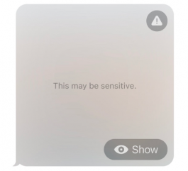 iOS 17加入敏感照片检测功能，裸露、血腥或暴力影像不让你一下就看到