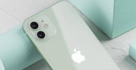 iPhone 12支不支持高刷（iPhone 12屏幕刷新率介绍）