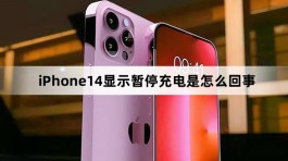 iPhone14显示暂停充电是怎么回事？