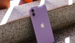 iPhone 11屏幕分辨率是多少？
