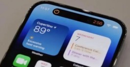 iphone15plus是否支持指纹解锁？