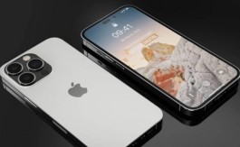 iPhone 14 pro max机身重量是多少？