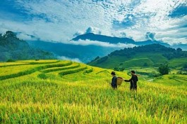 赚钱最快的游戏一分钟可以赚30元，真实每天能赚30-50元的游戏软件