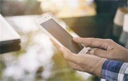 网上赚钱的办法（2025年手机零投资快速赚钱方法）