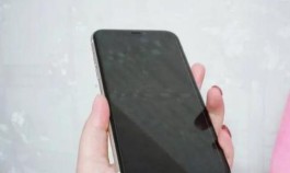 iPhone 11电池容量是多少？