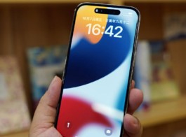 iPhone14pro如何在Safari中固定标签？
