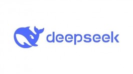 爆火全网的DeepSeek，那么我为什么要卸载DeeSeek？