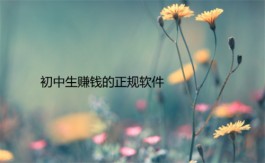适合初中生赚钱的正规软件（适合未成年中学生赚零花钱的软件）