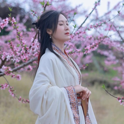 只要发文章视频就有收益的平台是哪个？