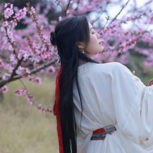 从"攒钱上课"到"时间增值"：一个生活实验家的365天碎片整理报告