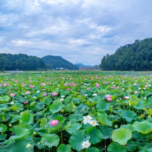 手机玩游戏赚钱的软件有哪些？2026年专业的游戏试玩赚钱软件