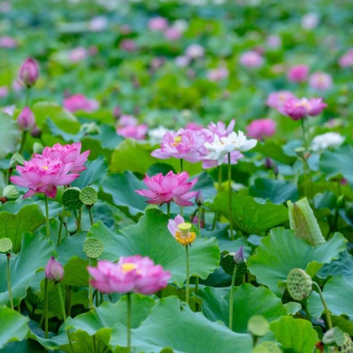 一天可以赚200元的游戏有哪些？分享三款一天能赚200元以上的游戏软件