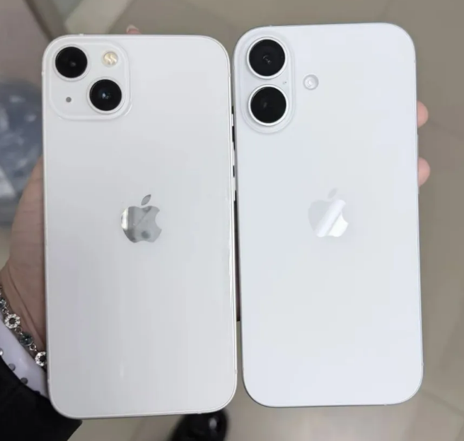 为什么越来越多人开始接受 标准版iPhone了？